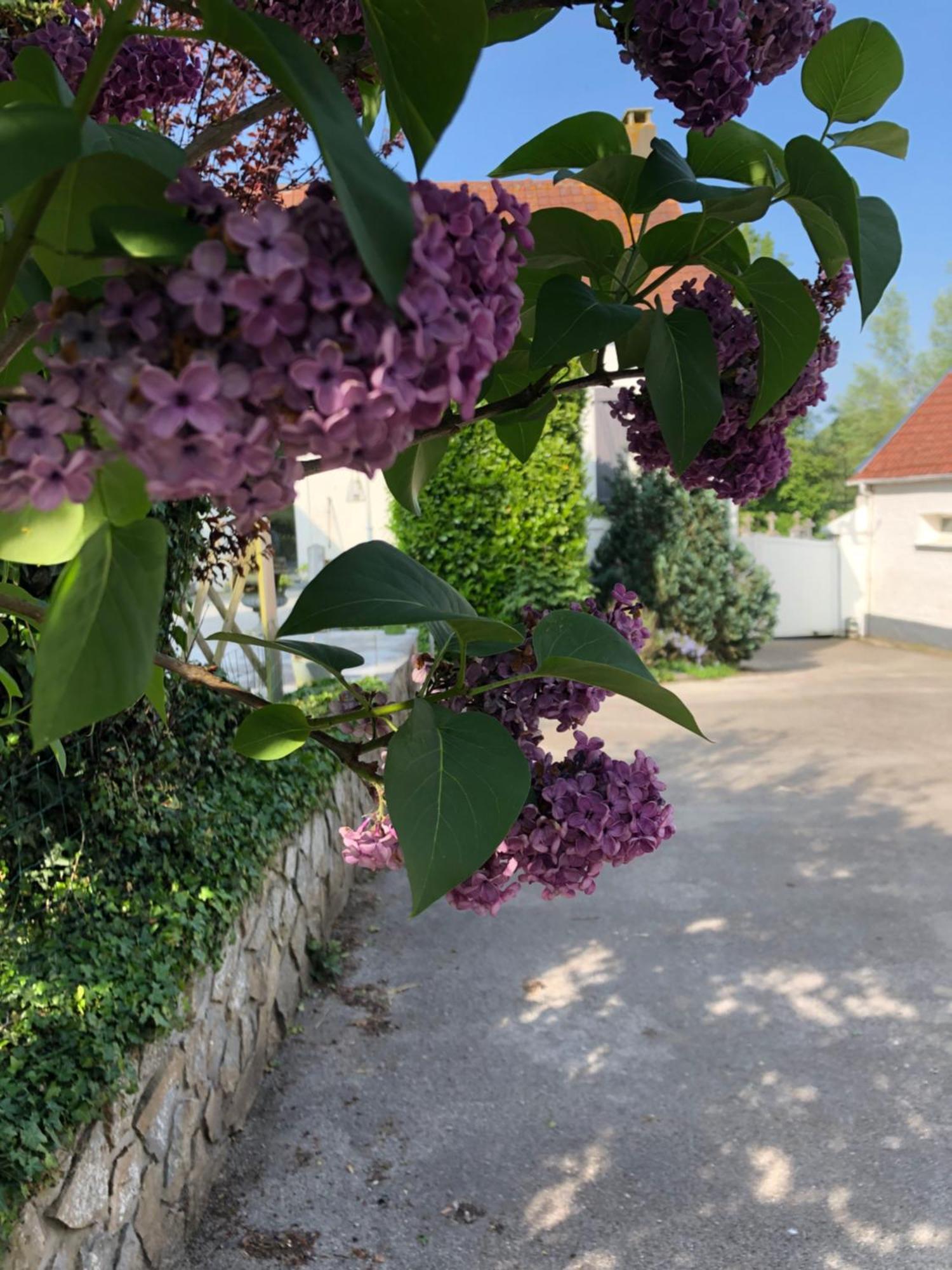 Le Clos De La Pommeraie Carly Dış mekan fotoğraf